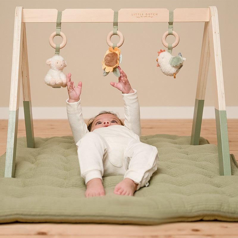 Little Dutch Baby Gym Little Farm