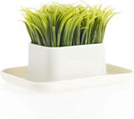 Dhink Groen Gras Pennenstandaard Wit