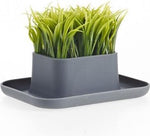 Dhink Groen Gras Pennenstandaard Antraciet
