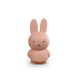 Atelier Pierre Junior Nijntje Spaarpot Warm, Powder